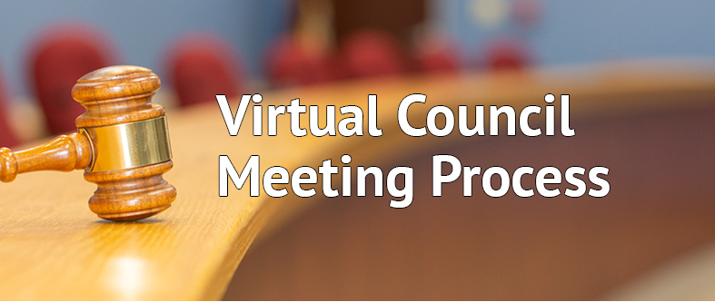Virtual Council Meeting